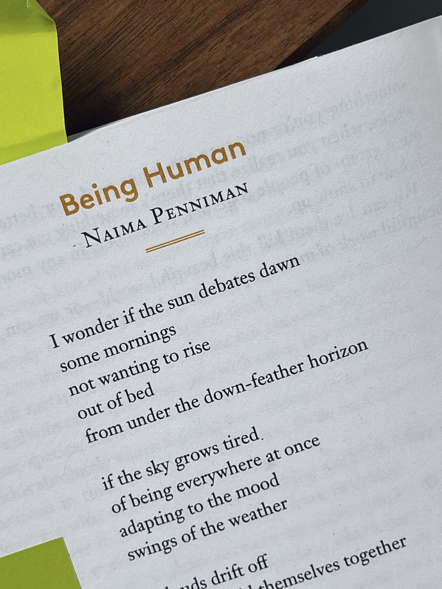 Being Human Naima Penniman the first two stanzas of the poem are pictured in the photo