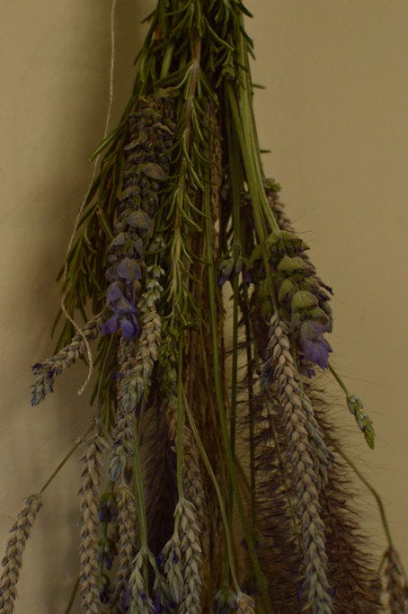 Lavender and ornamental grasses, dried arrangement