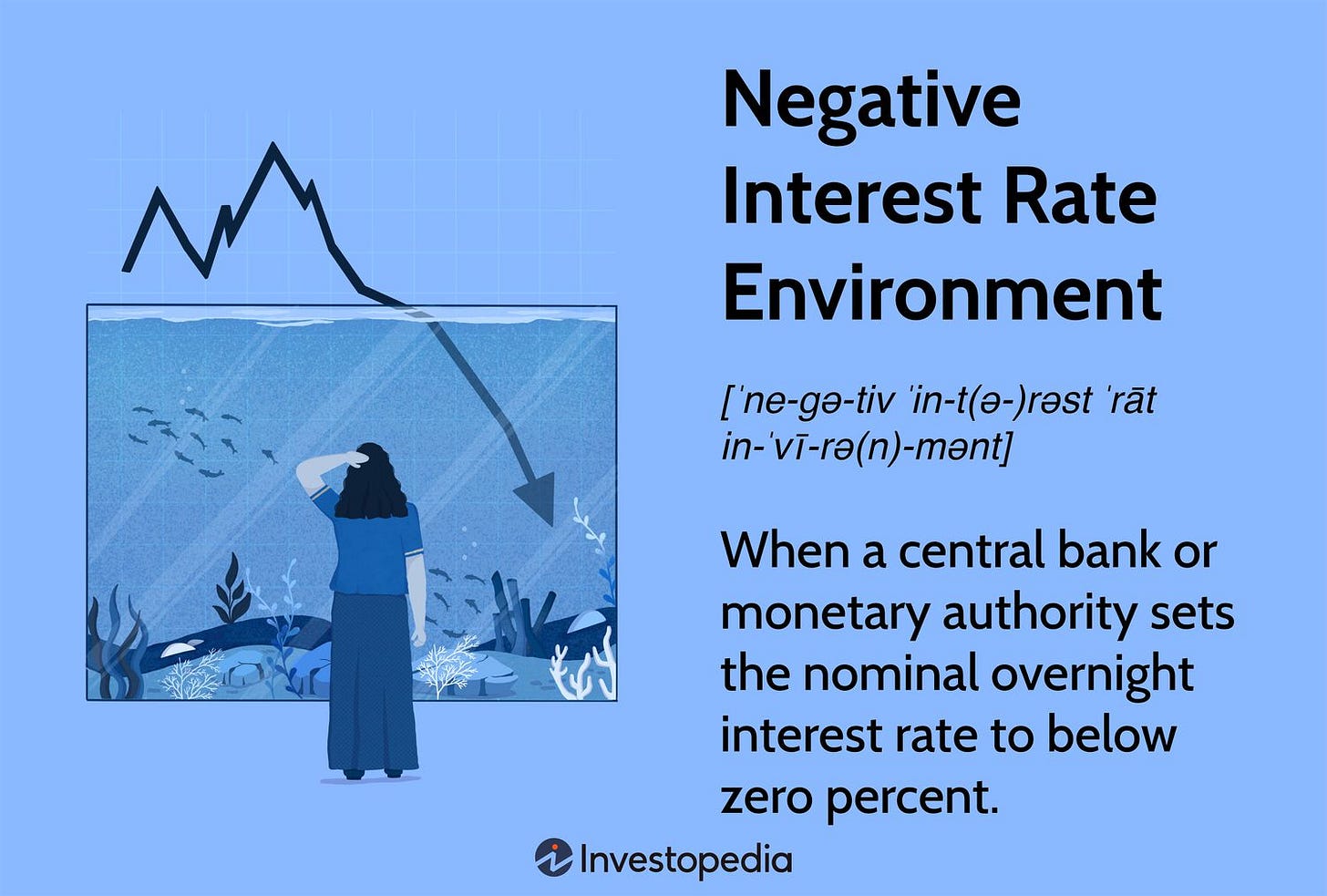 Negative Interest Rate Environment Definition