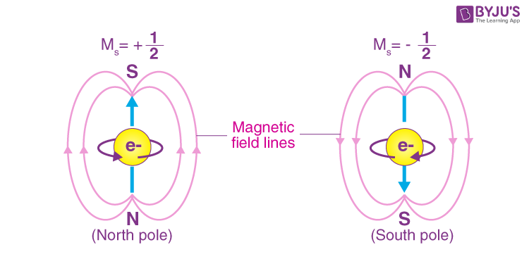 Electron Spin