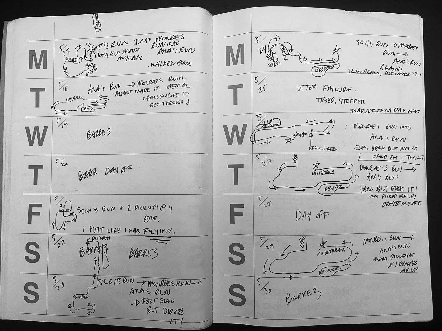 A photo of the author's training log.