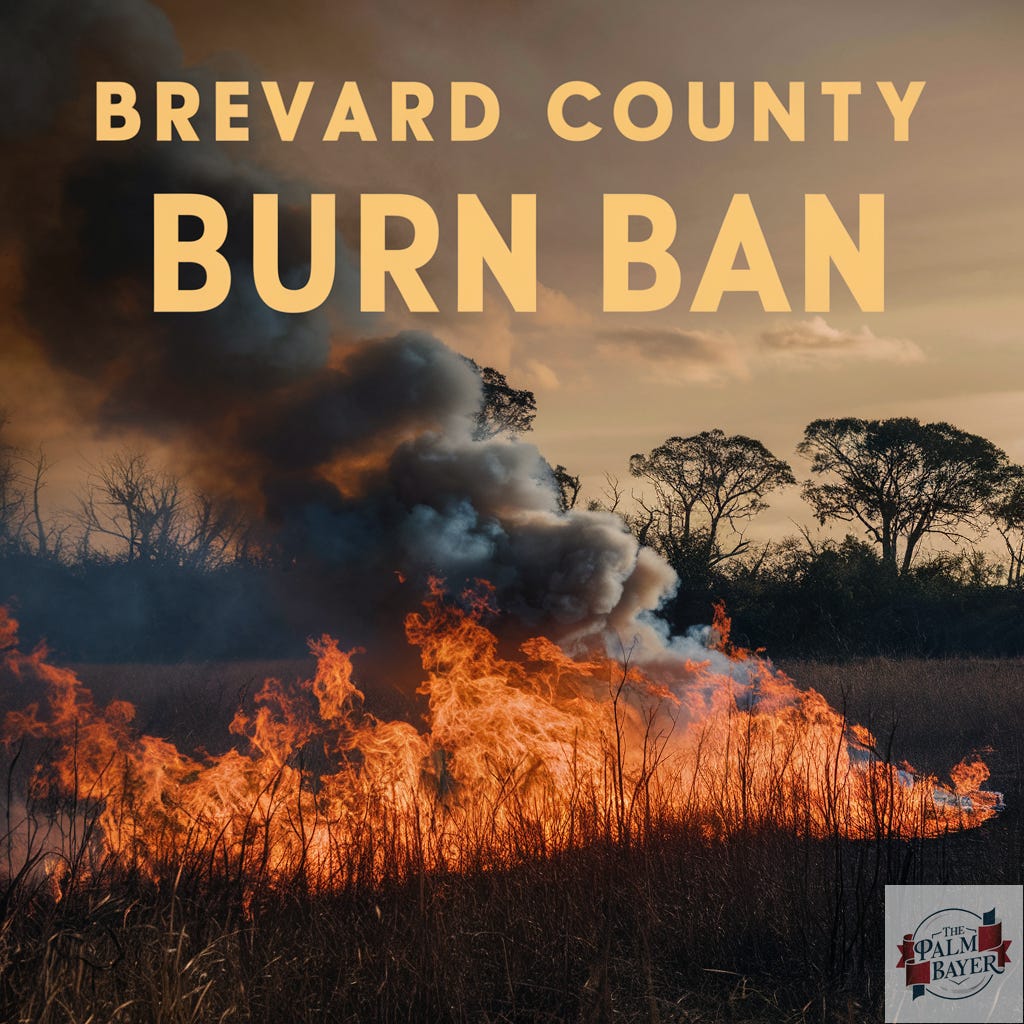 Brevard County issues burn ban