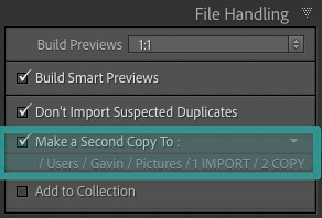 Duplicating original RAW files from the Memory Card to an archive location