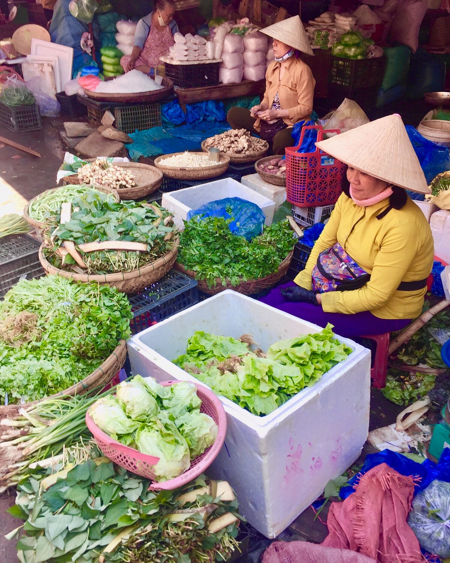 The local market in Hôi An, Vietnam.