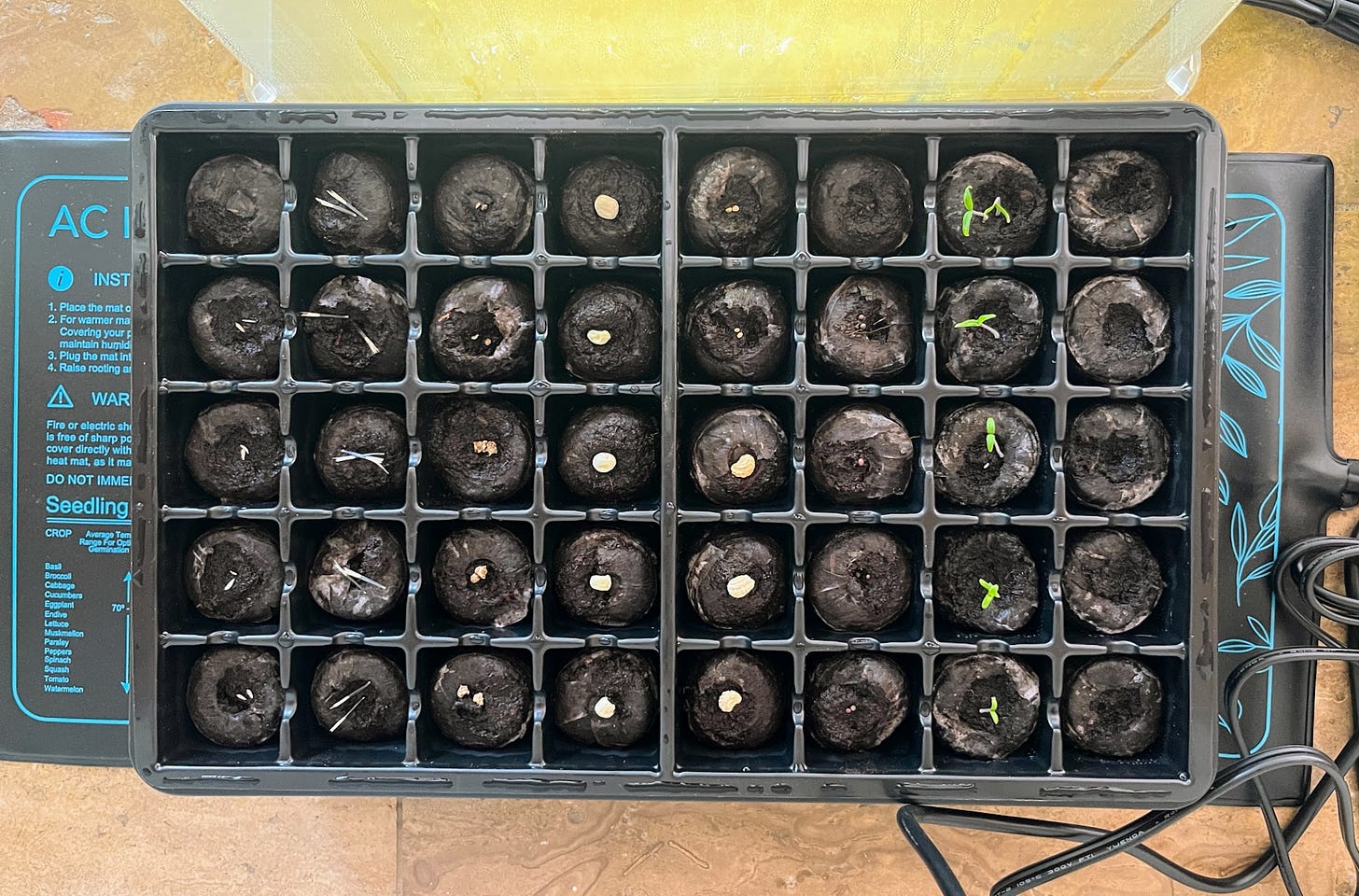 Seed starting tray on a heating mat