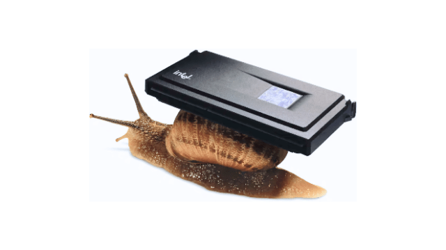 Intel snail