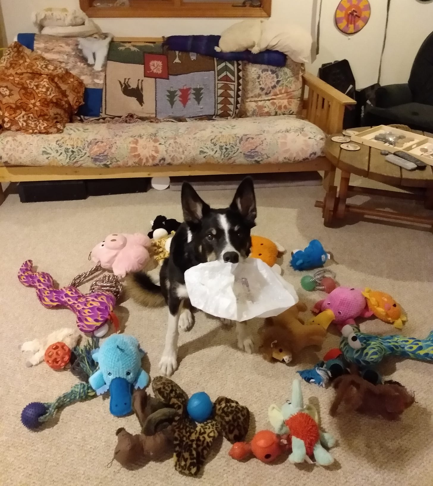 Dog surrounded by toys