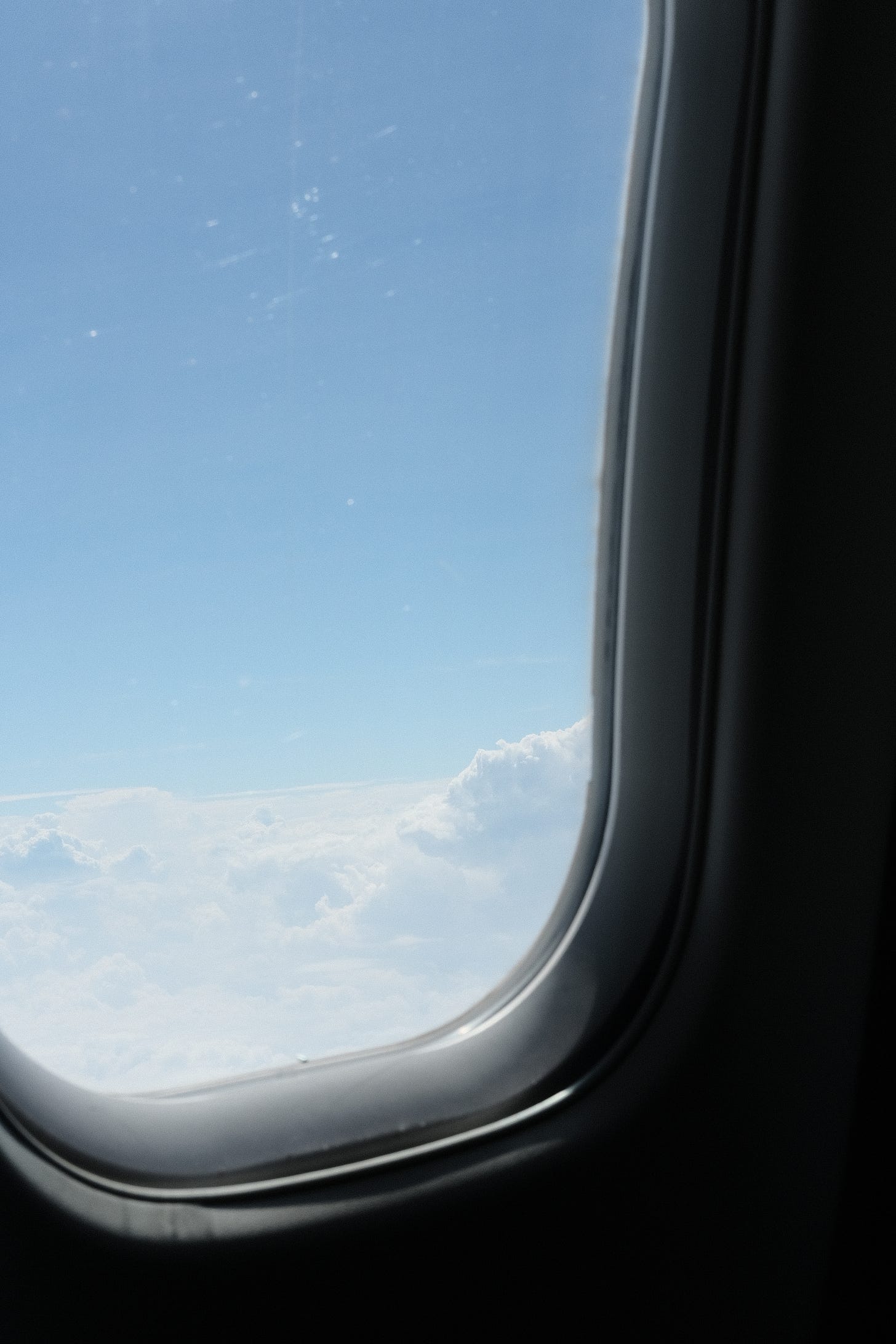 Solo travel stories airport saga flight to australia by food and travel writer Courtney Jill Bishop.