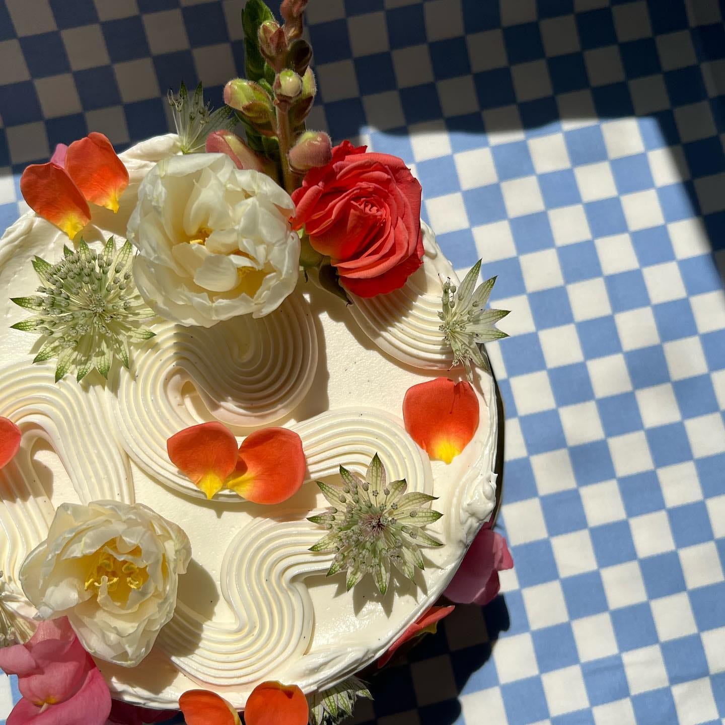 cream-colored cake with flower petals on a blue checkerboard background