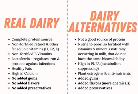 dairy and dairy alternatives nutritional value