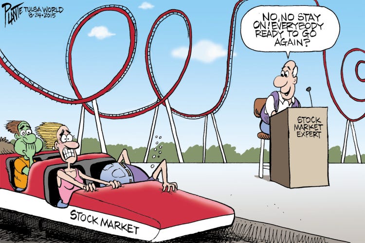 Stock Market Roller Coaster
