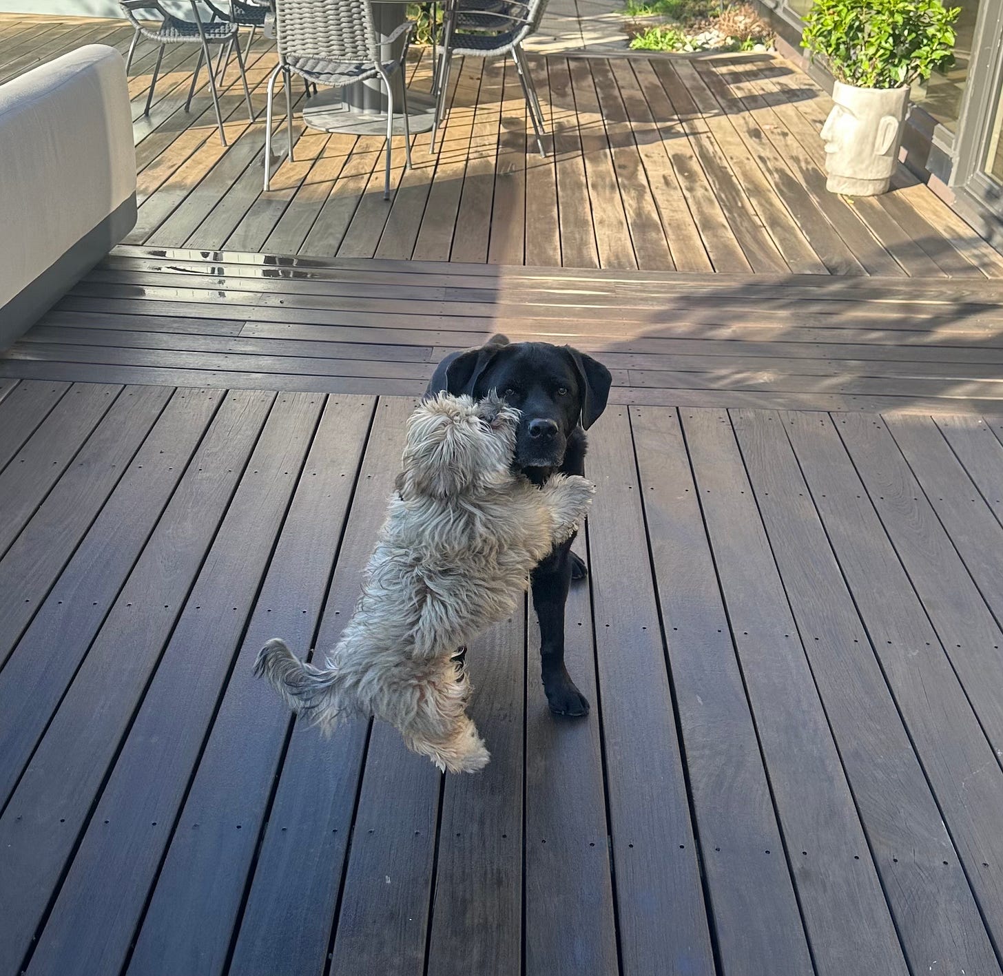 What does Harris need to do to take down Trump?