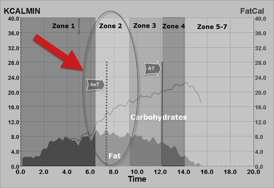 The Many Benefits from "ZONE 2" Training - Fit Stop Human Performance Lab