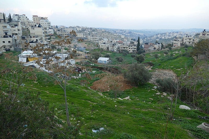 The rolling hills with green grass around Bethlehem.