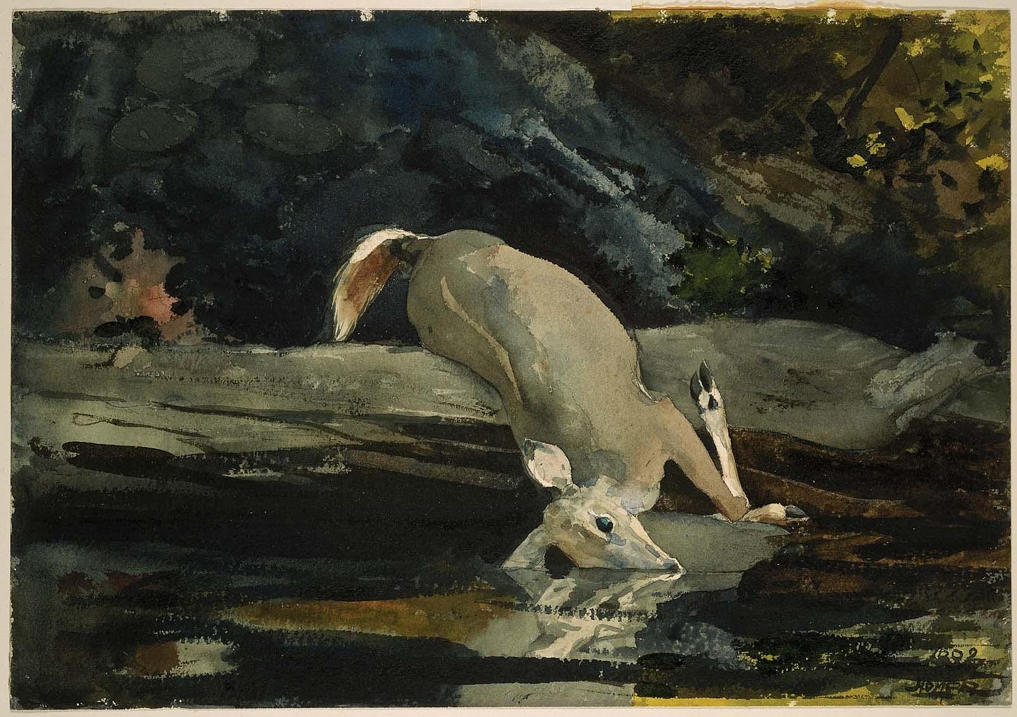 The Fallen Deer – Works – Museum of Fine Arts, Boston