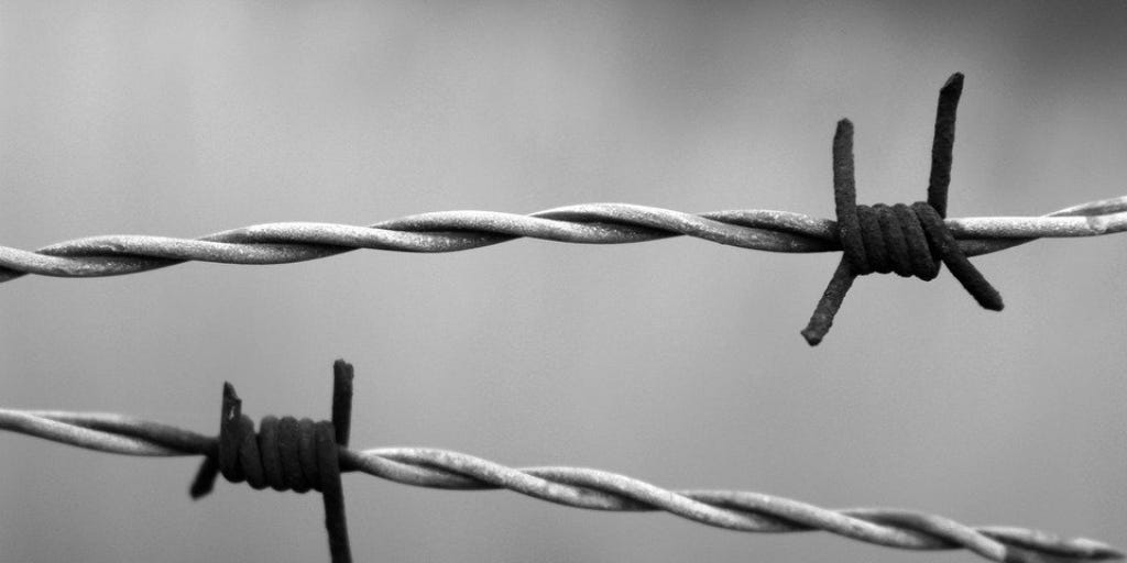 Barbed wire