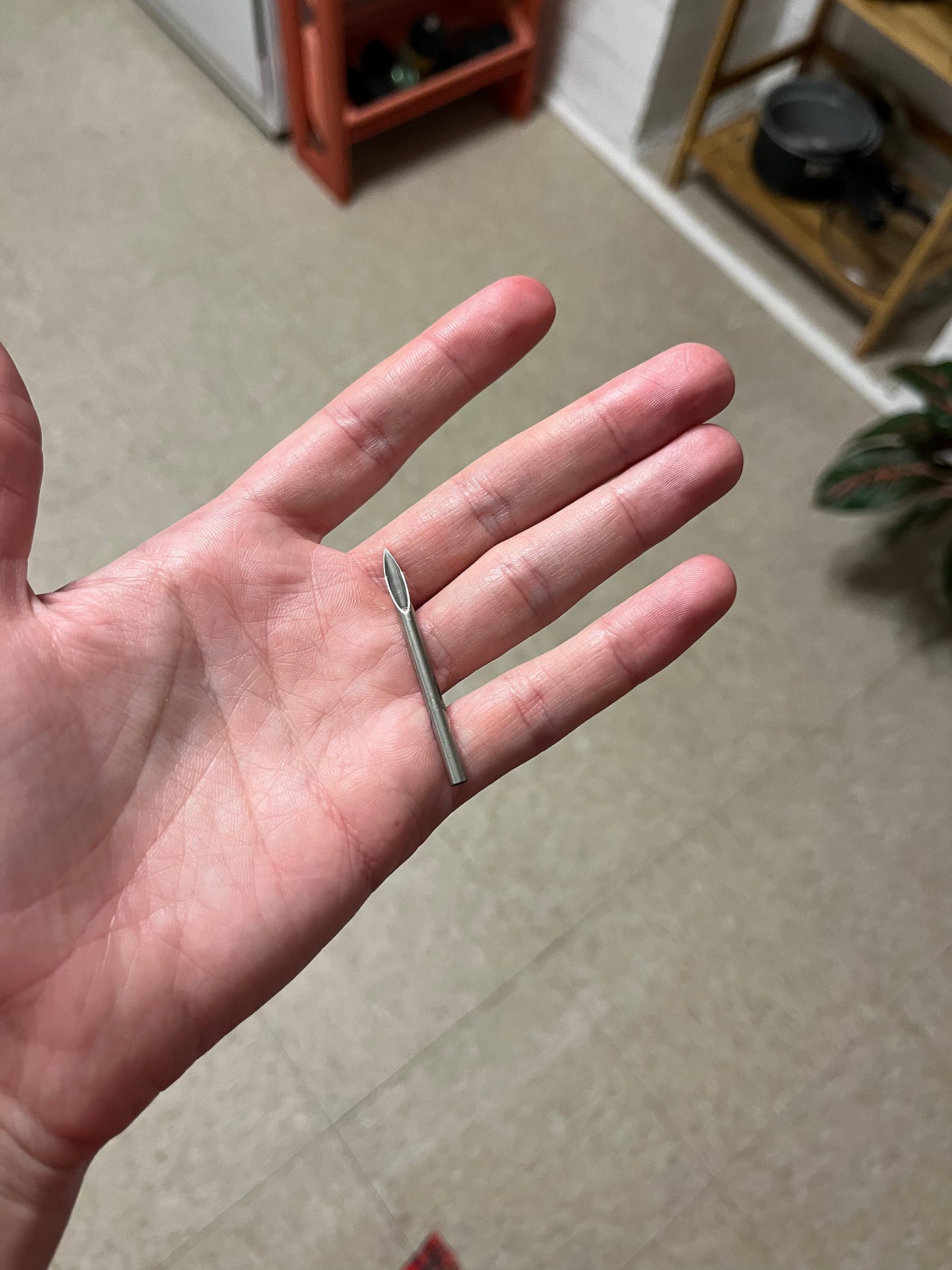An 8-gauge needle in my palm