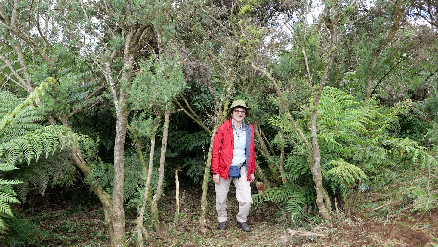 Julia standing in front of some gorse bushes that dwarf her.