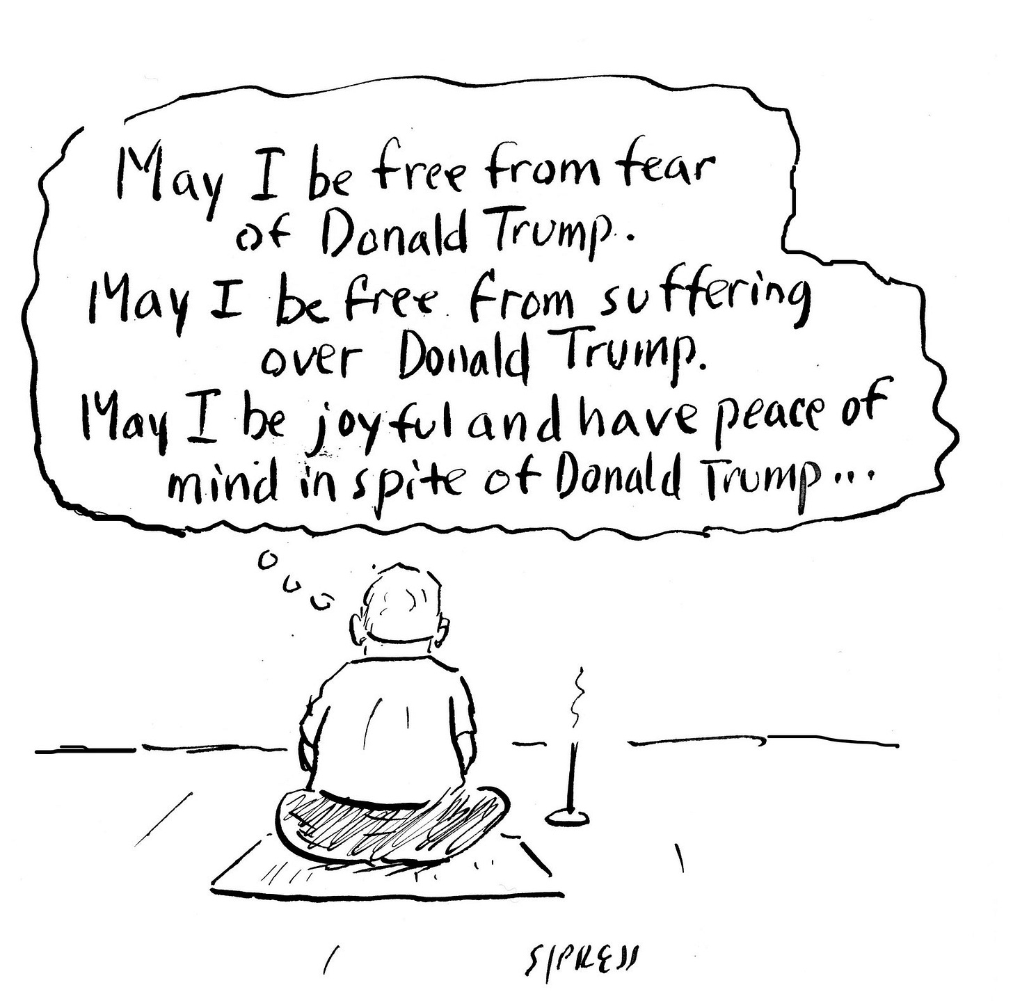 How to Stay Sane as a Cartoonist in Trumpland | The New Yorker