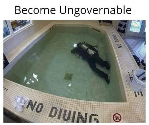 Become Ungovernable Diver | Become Ungovernable | Know Your Meme