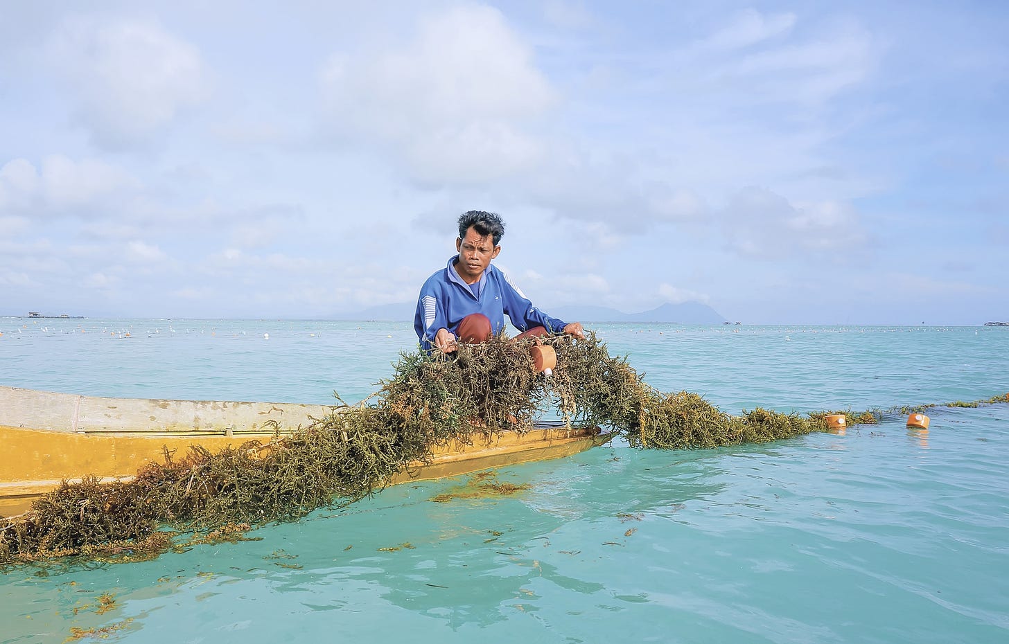 Seaweed Industry Development agency for Bangsamoro pushed - Metro Cagayan de Oro