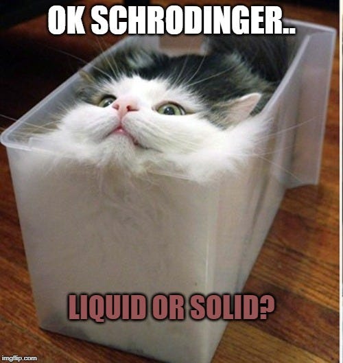 schrodinger's cat Memes & GIFs - Imgflip