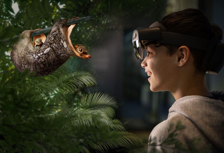 A boy looking through a headset at a mammal hanging upside down from a tree branch