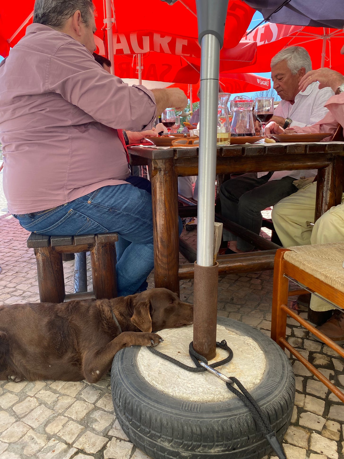 Bobby and Hummock chilling out with customers in Alcácer do Sal, Portugal