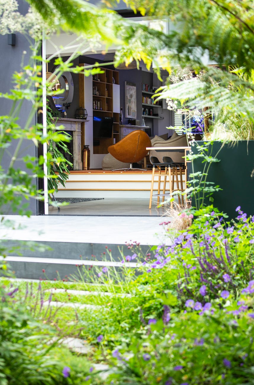 a contemporary house interior glimpsed through the planting design