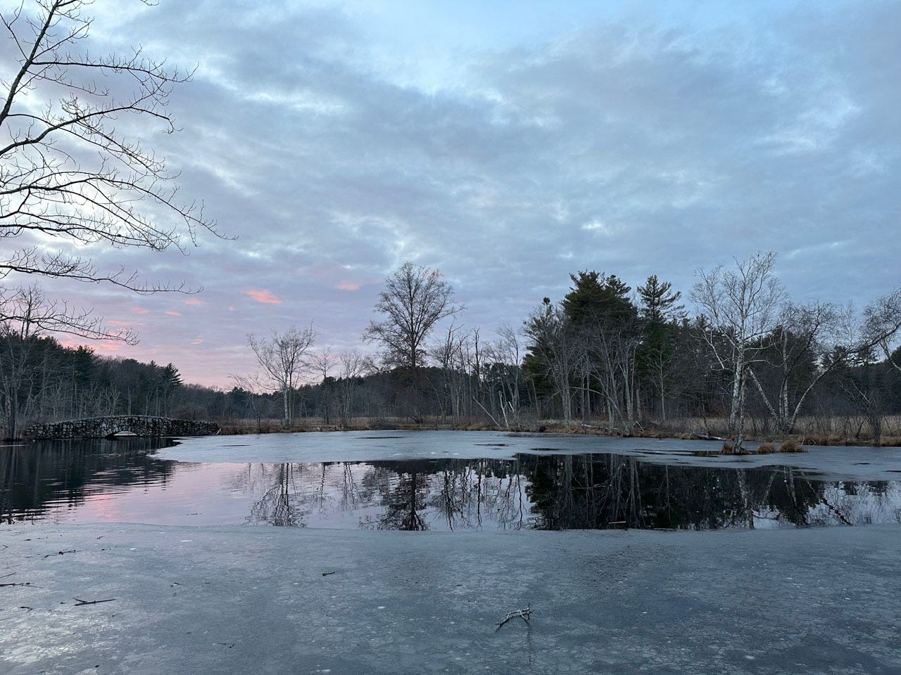 The sun sets behind a partially-frozen pond. The sky is pale blue, fading to pink where the sun hides behind trees; and it is all reflected in an open section in the middle of the pond where the ice has melted to show the water beneath. Where there is still ice, patterns of sparkling lines web over the surface.