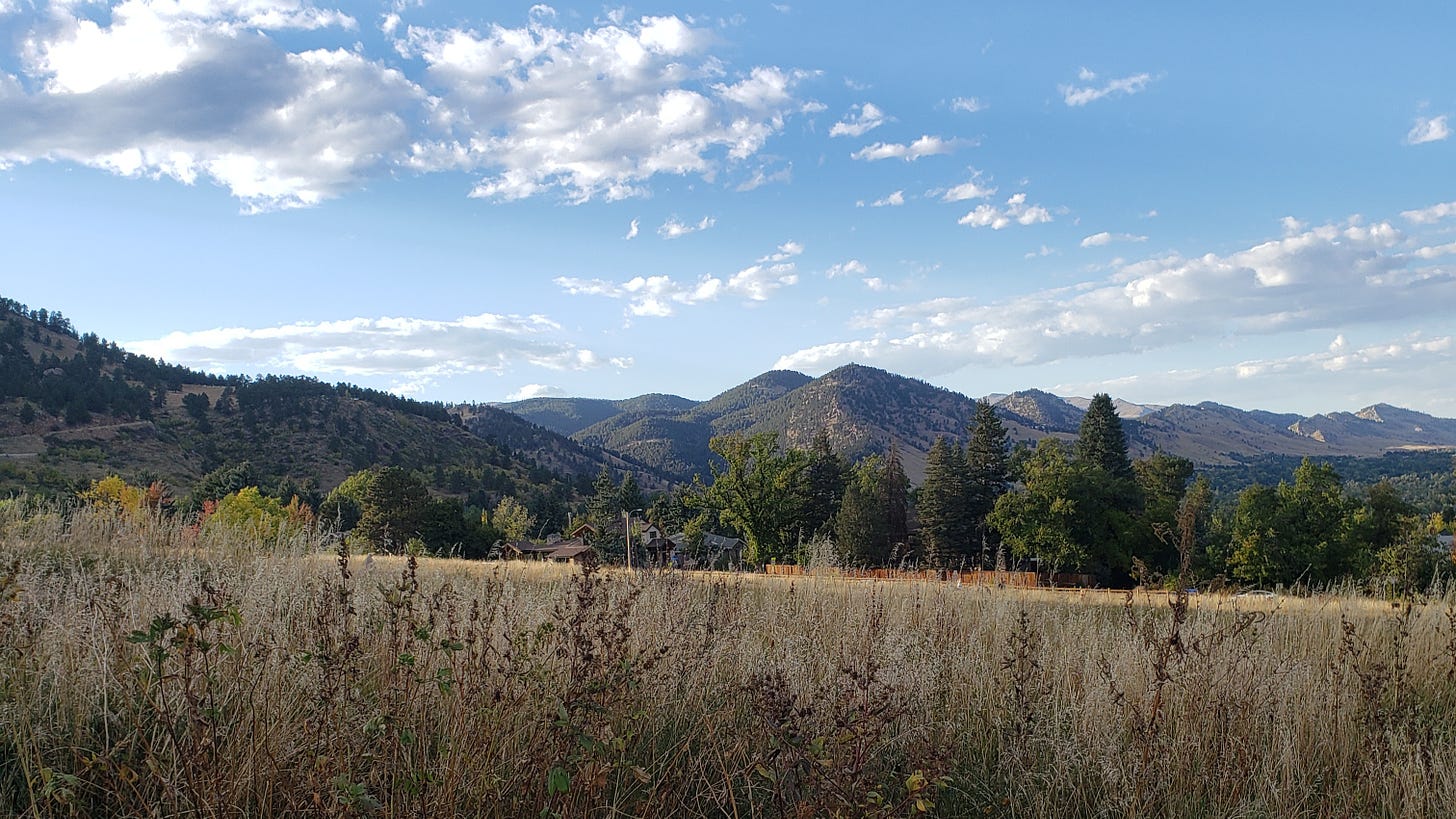 Photo of Colorado mountains in afternoon light: blue sky with large wispy clouds, blue-green mountains, dark green trees, and wheat and tan grasses in the foreground.
