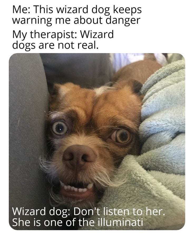 Funniest Dog Memes for Canine Enthusiasts (June 29, 2023)