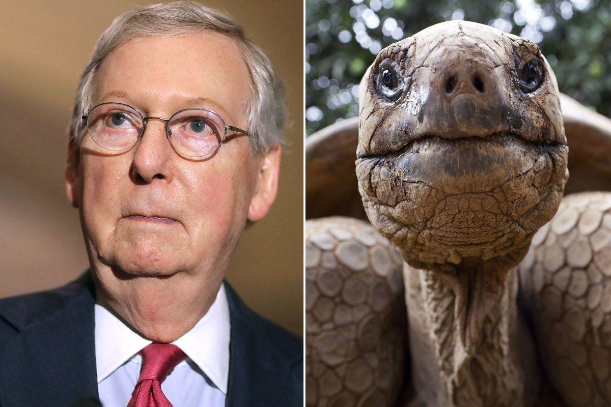 Mitch McConnell Kentucky Senator Memes - Geeks + Gamers