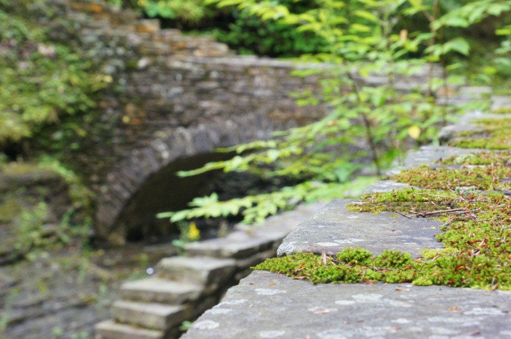 Cool climes at the bottom of the Watkins Glen SP gorge make for tons of moss on the old stone work.