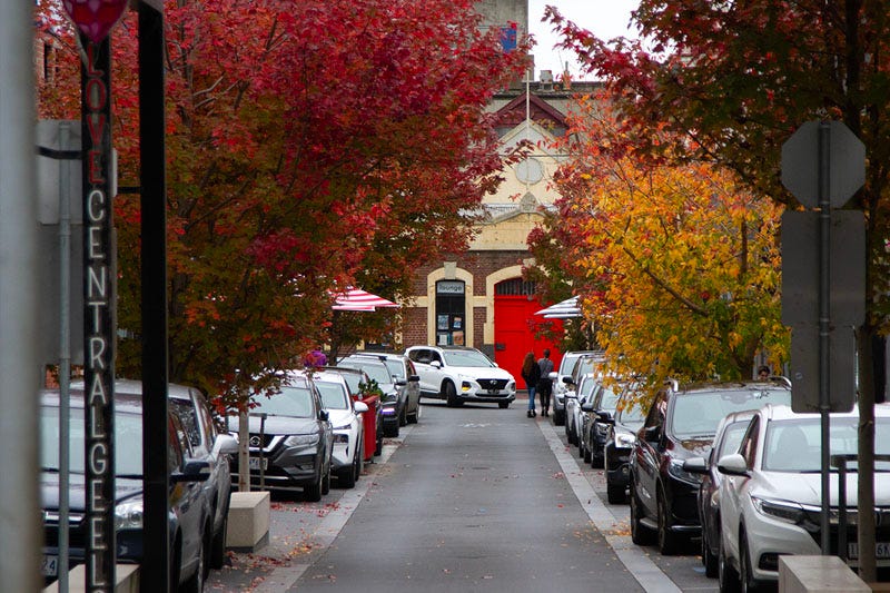 Red and orange leafed-trees line a small stree in Geelong.