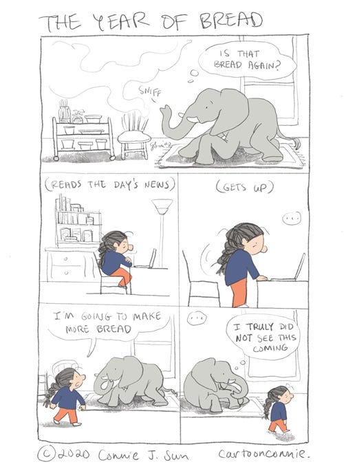 comic strip: the year of bread comics, illustration, humor, baking bread, pandemic diary, bread making, stress relief, sketchbook, drawing, connie sun, cartoonconnie