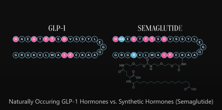 Semaglutide synthetic hormones vs glp-1 hormones