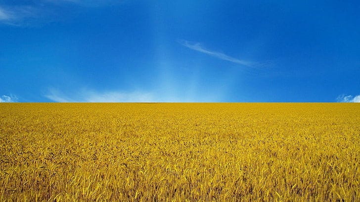 r/vexillology - a field of wheat under a blue sky