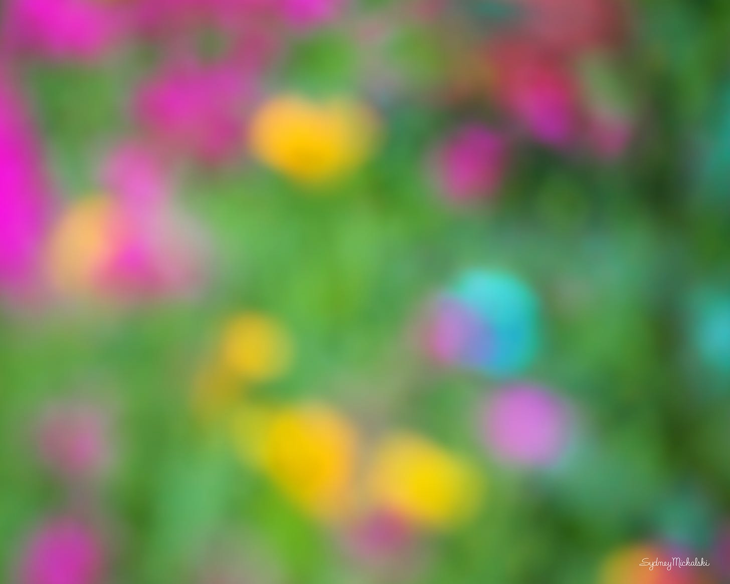 An abstract image uses a soft focus on a wildflower field, in pink, orange, turquoise, and green.