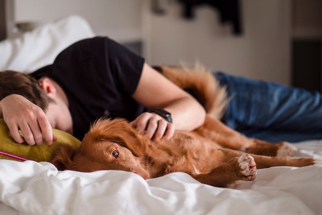 person in black shirt lying on bed