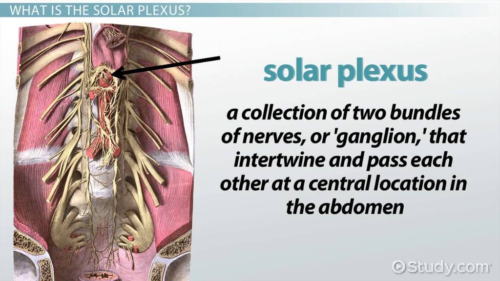 Solar Plexus Location & Function | Solar Plexus Diagram Video
