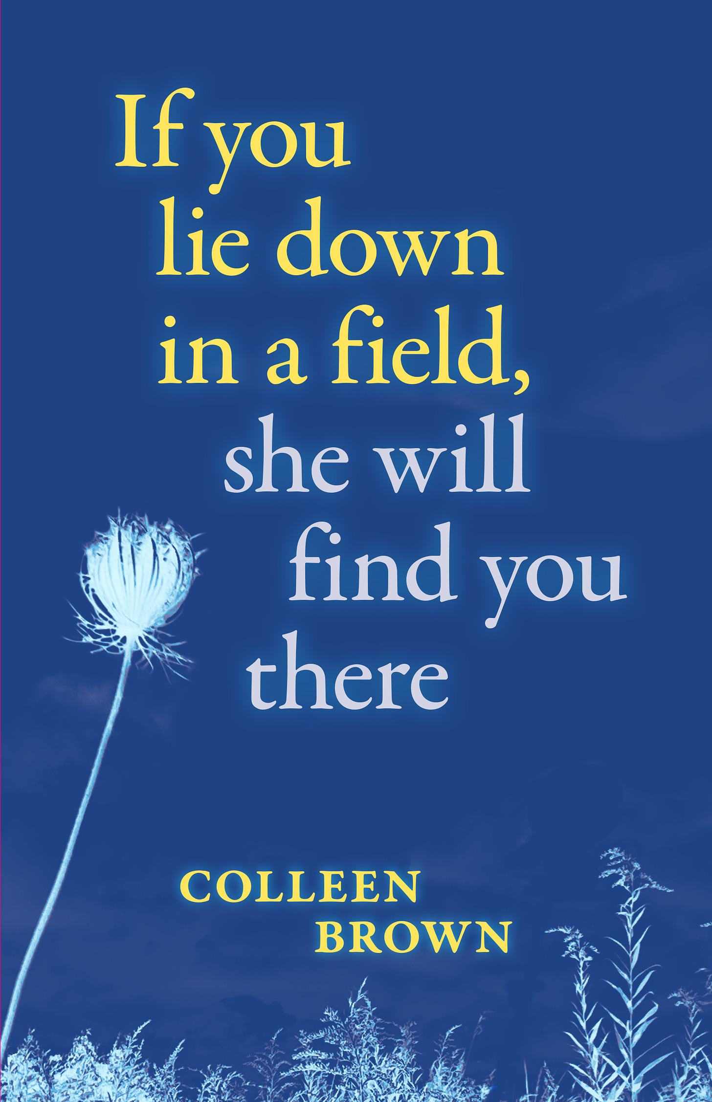Book Cover If you lie down, she will find you