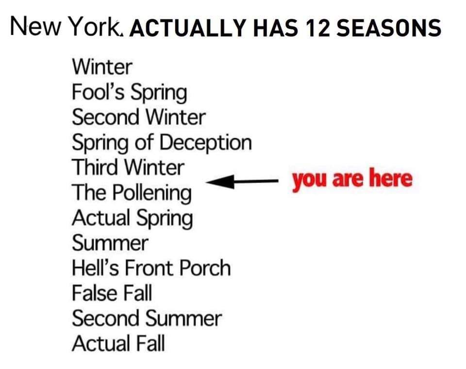 12 Seasons NYC