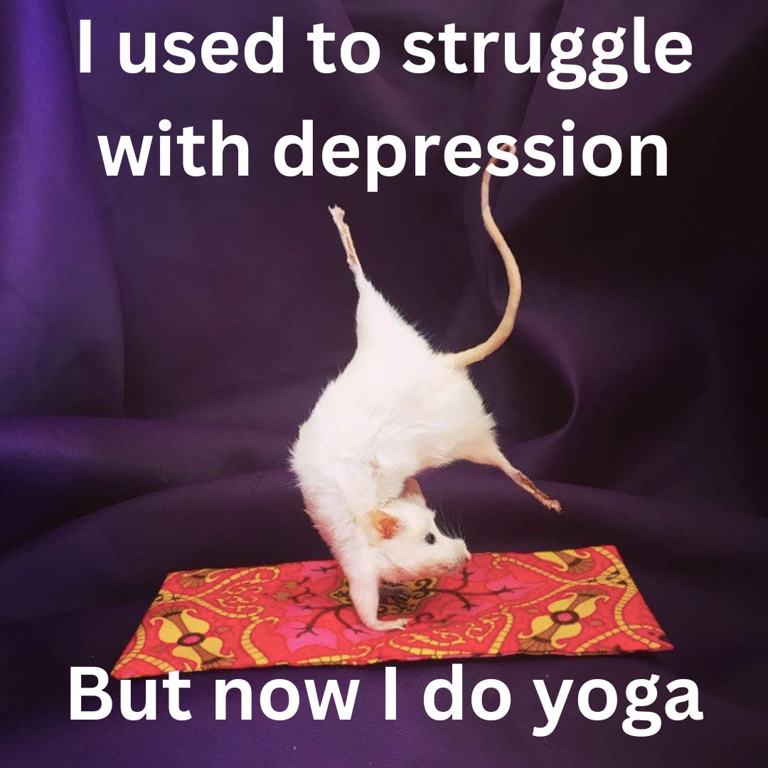 Photo of a mouse in a complicated yoga pose. Text reads: I used to struggle with depression. But now I do yoga.