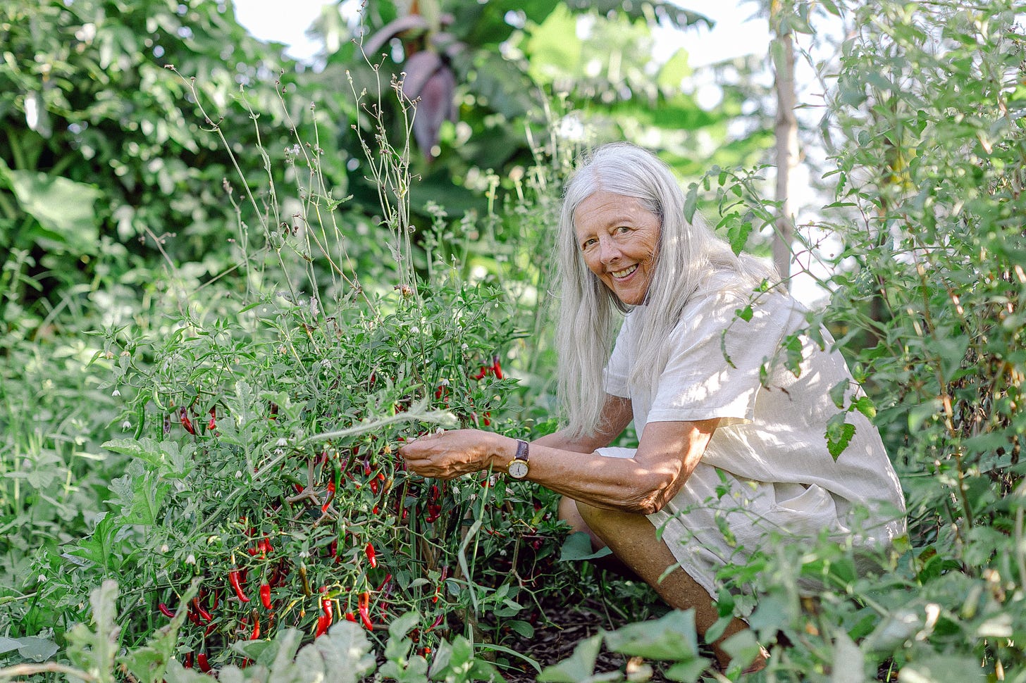 Helena Norberg-Hodge collecting vegetables from the garden