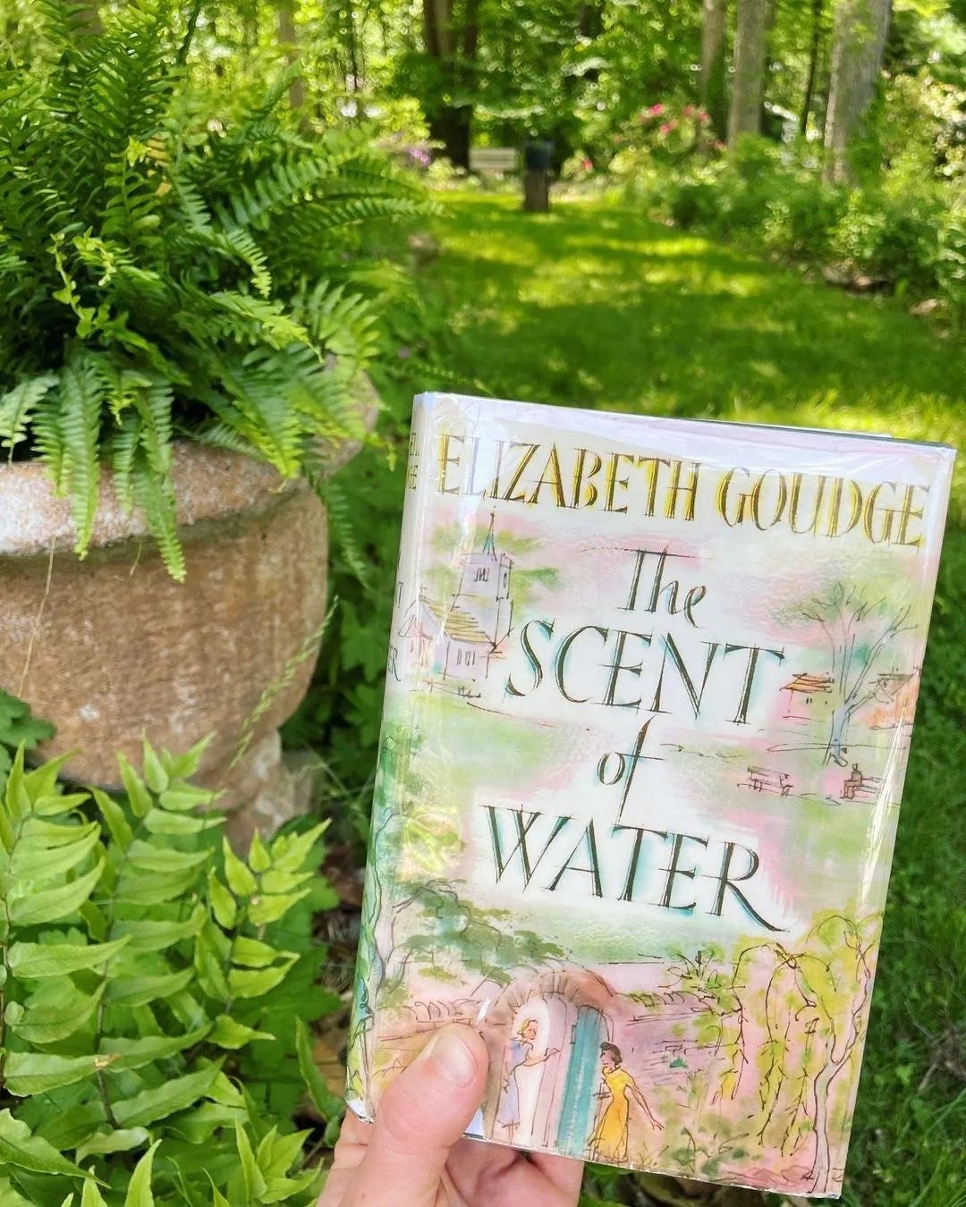 Dappled light and ferns in our Woodland Garden with my copy of The Scent of Water Dappled light and ferns in our Woodland Garden with my copy of The Scent of Water