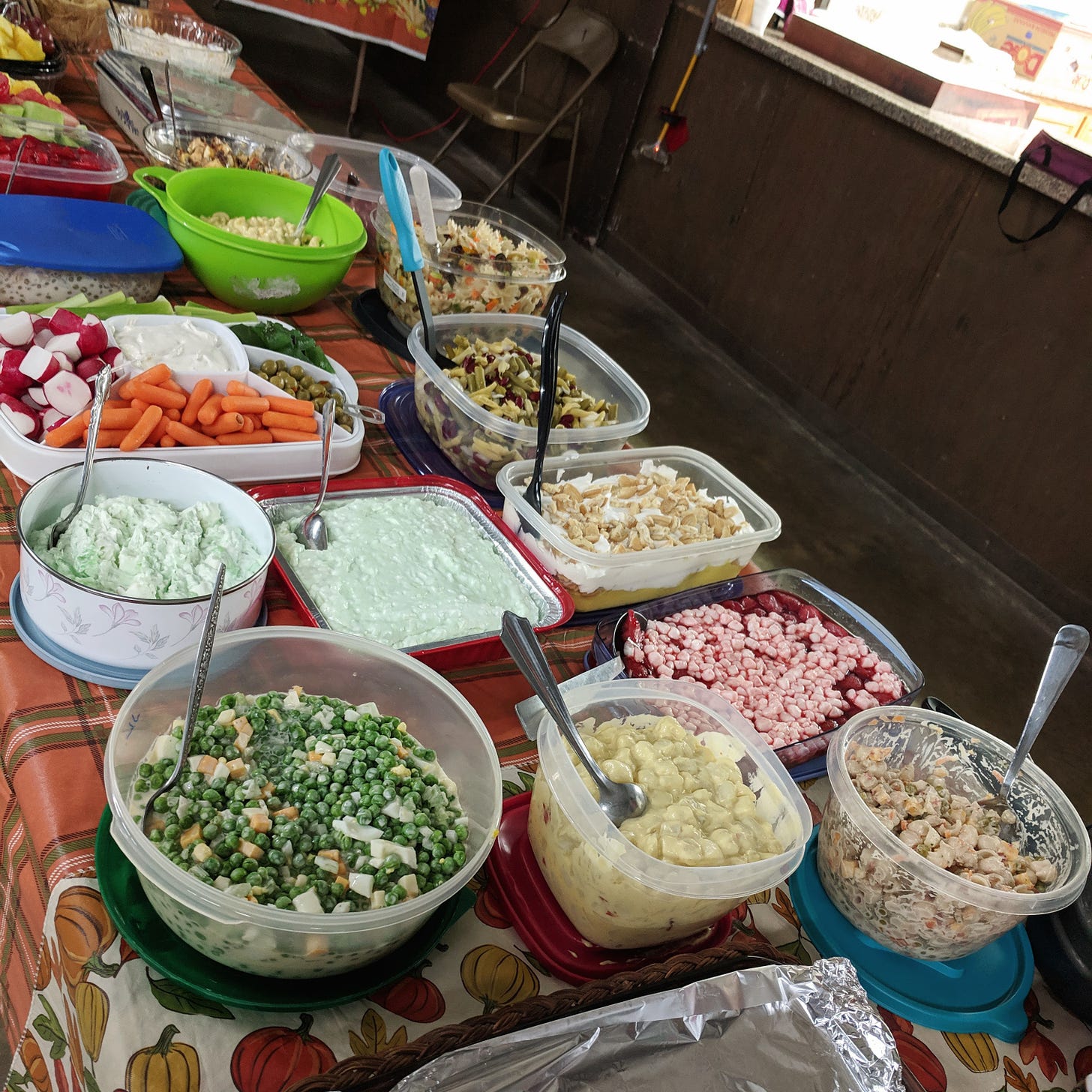 A long row of dishes at a potluck, mostly jello and vegetables