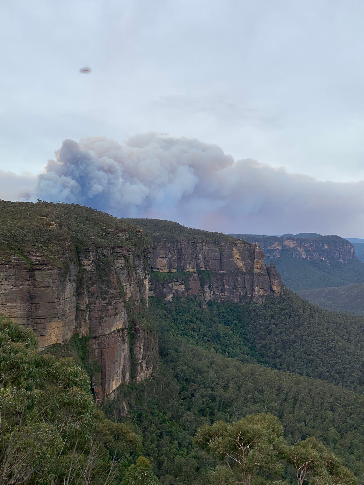 Bushfire smoke billows above a densely-forested canyon in Australian Blue Mountains National Park.