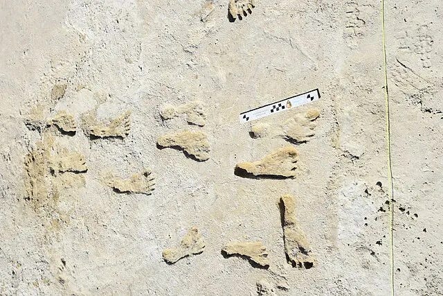 A close-up of a measuring tape and footprints
Description automatically generated A close-up of a measuring tape and footprints
Description automatically generated