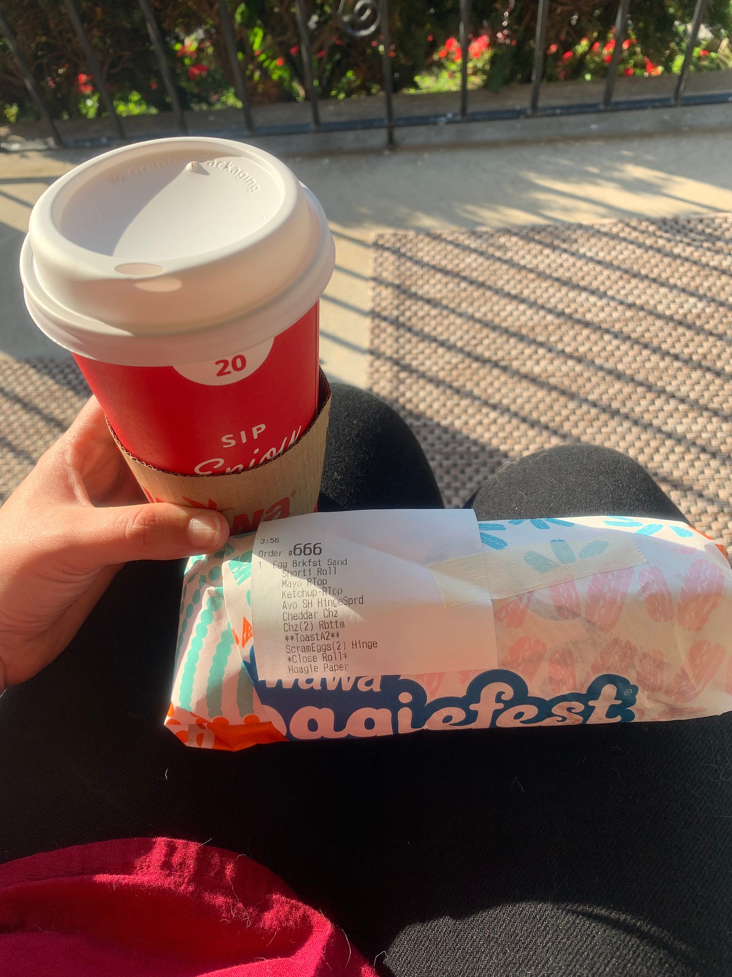 A Wawa coffee and hoagie on my lap on a beautiful summer day